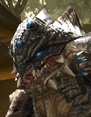 Черный медведь